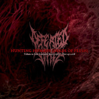 Tribute to Erik Lindmark (Deeds of Flesh)