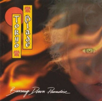 Album cover for Burning Down Paradise