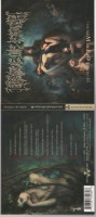 Hammer of the Witches