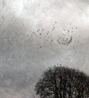 Warping Space-Time