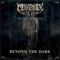 Beyond the Dark
