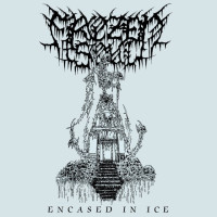 Encased In Ice