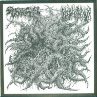 Spectral Voice / Blood Incantation