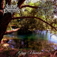 Grey Visions