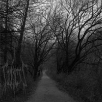 Fading Days Away…