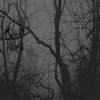 Wounded Solitude