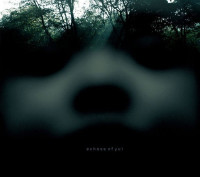 Echoes of Yul