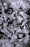 Terminal Aggressor