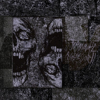 Terminal Aggressor II