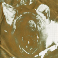 Ancient Skin / Necrolust