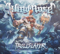 Trollslayer