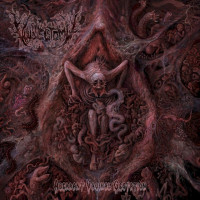 Aberrant Vaginal Gestation