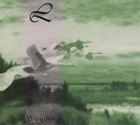 Wonder