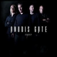 Sheep