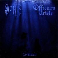 Immersed