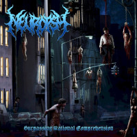 Surpassing Rational Comprehension
