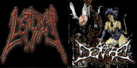 Despise / Lust of Decay