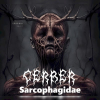 Sarcophagidae