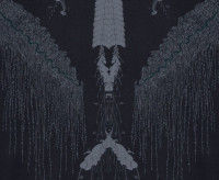 Taxidermia