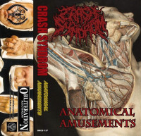 Anatomical Amusements