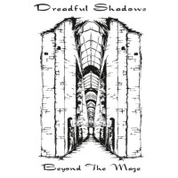Beyond the Maze