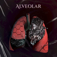 Alveolar