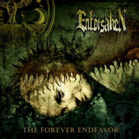 The Forever Endeavor