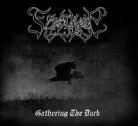 Gathering the Dark