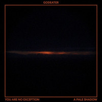 You Are No Exception/A Pale Shadow