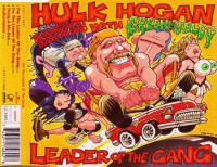 Leader of the Gang
