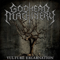 Vulture Excarnation
