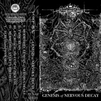 Genesis of Nervous Decay