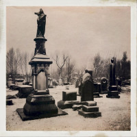 The Garden of Jane Delawney