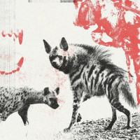 Cannibal Culture