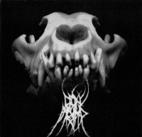 Protected by the Ejaculation of Wolves