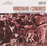 Split CD