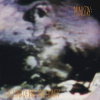 Album cover for The Land of Rape and Honey