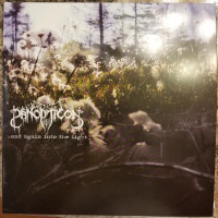 Album cover for …And Again Into the Light