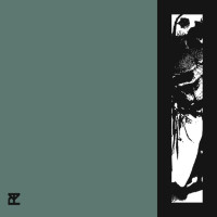 Album cover for Been Here Before