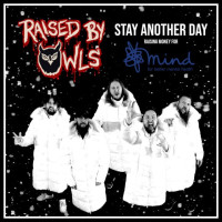 Stay Another Day