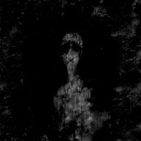 Willow (instrumental)