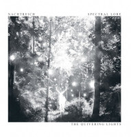 The Quivering Lights