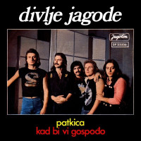 Patkica / Kad bi vi gospođo