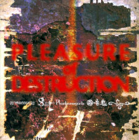 Pleasure of Destruction