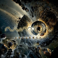 The Cambrian Explosion