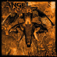 My Fallen Angel