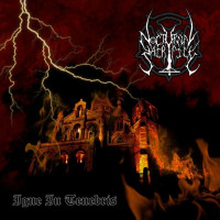 Igne in Tenebris