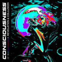 Consciousness