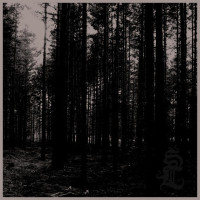 Skog