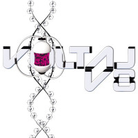 V8
